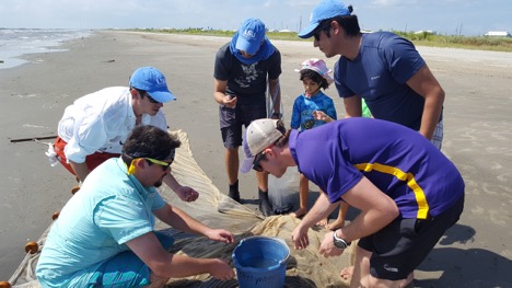 Prosanta Chakrabarty and a team of researchers collecting specimens on a public beach in Grand Isle during a "Crude Life" outreach event.