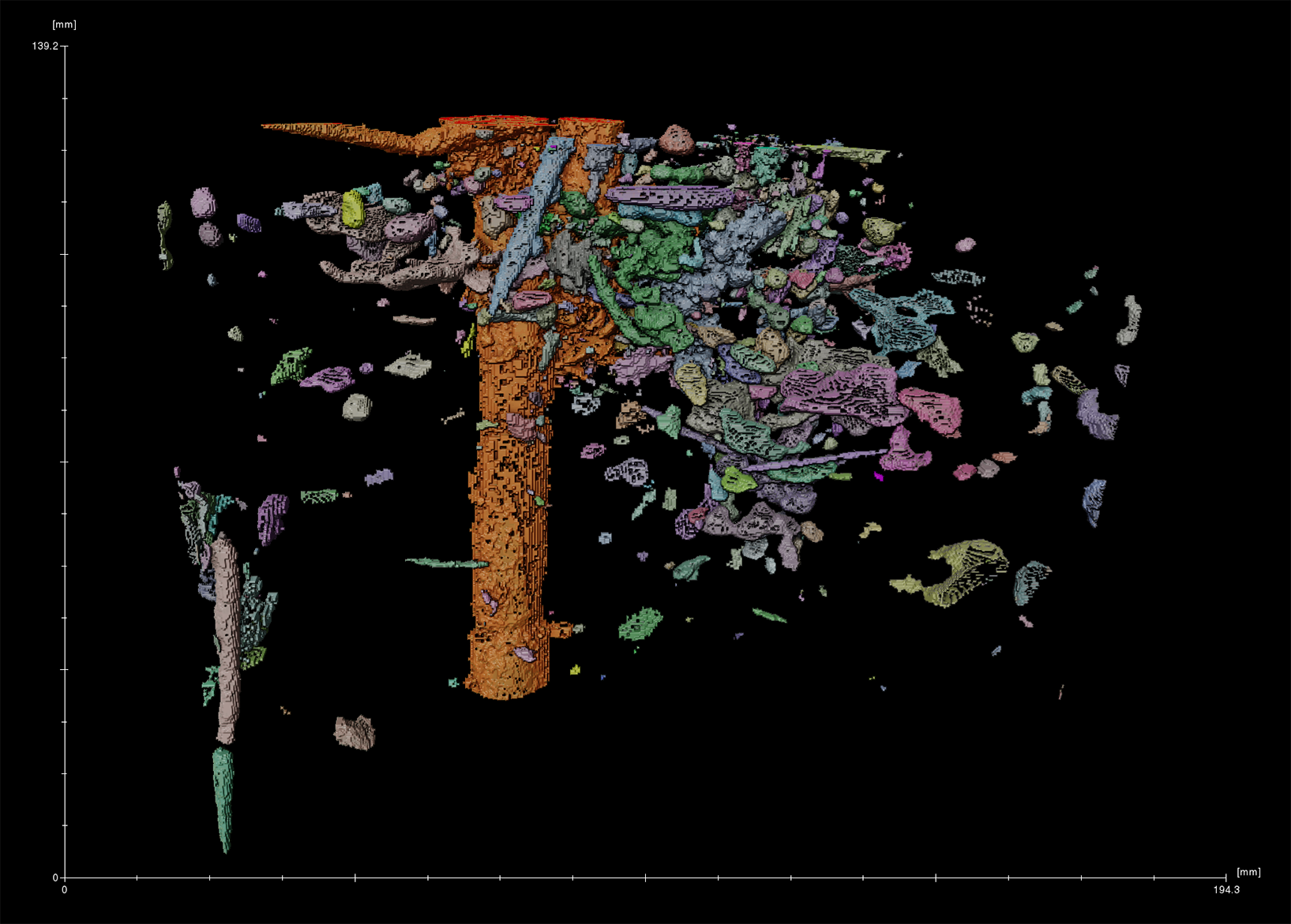 Biomass microCT image