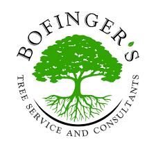 bofingers logo