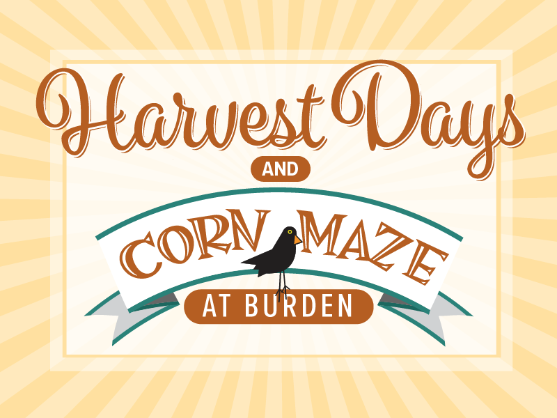 Harvest Days and Corn Maze