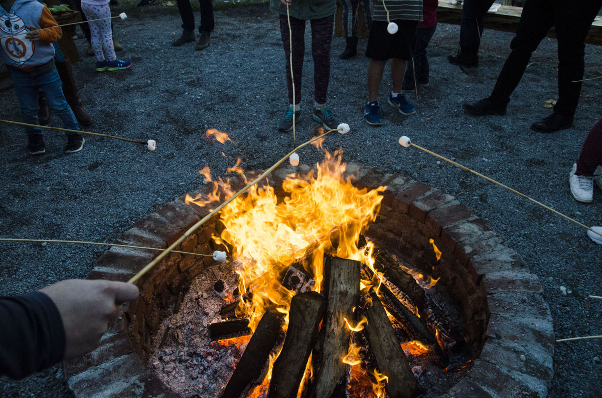 bonfire with marshmallows roasting