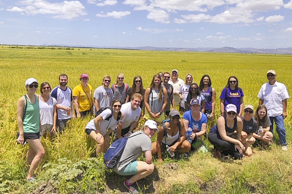 MAcc students on in a field on a international trip.