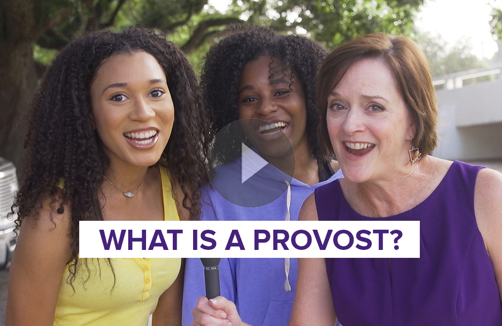 What is a Provost?