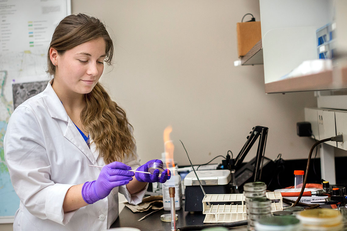 an environmental sciences student conducts an experiment
