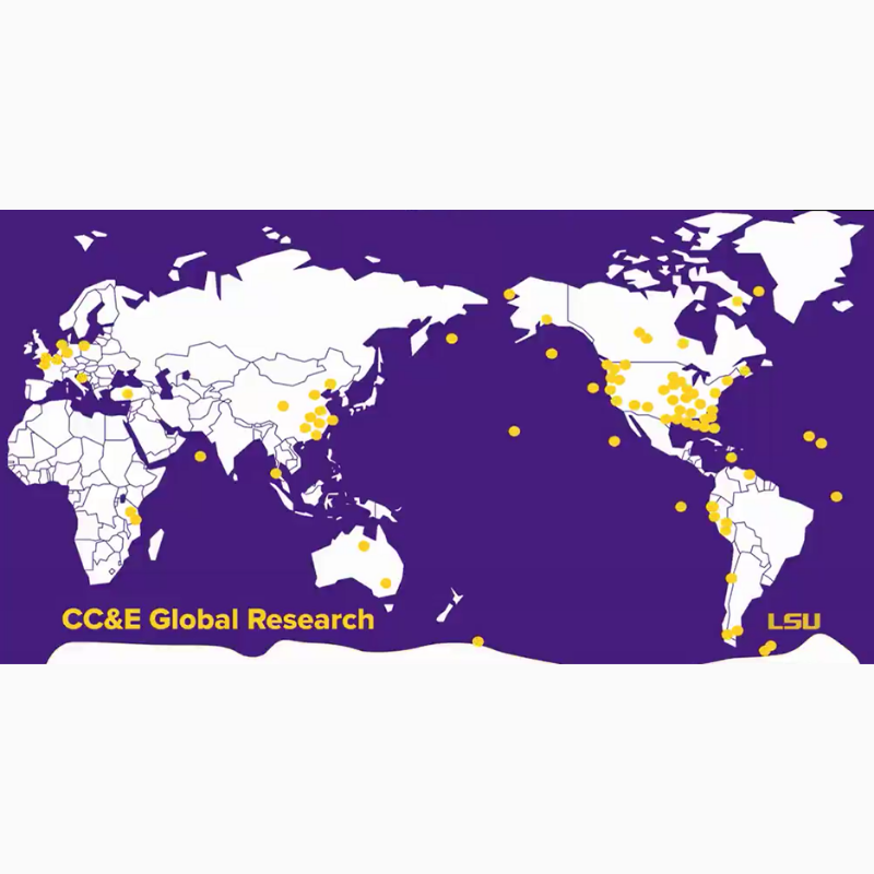 illustration of gold dots on a purple map of the world