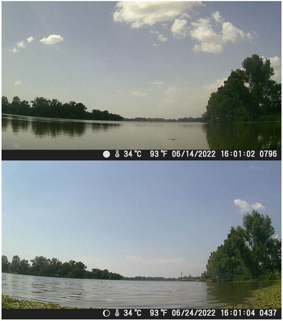 Saharan Dust in Baton Rouge from 2022 Two pictures of the LSU lakes, one from when the Saharan Dust was present