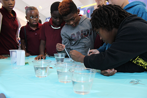 students conducting water experiement