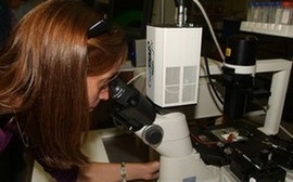 Female student working with microscope