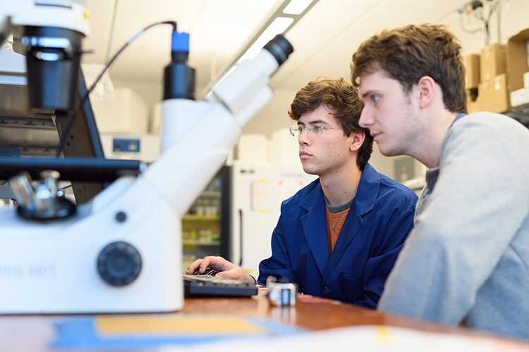 two male undergraduate students reviewing data on a computer in Prof. Adam T. Melvin's laboratory