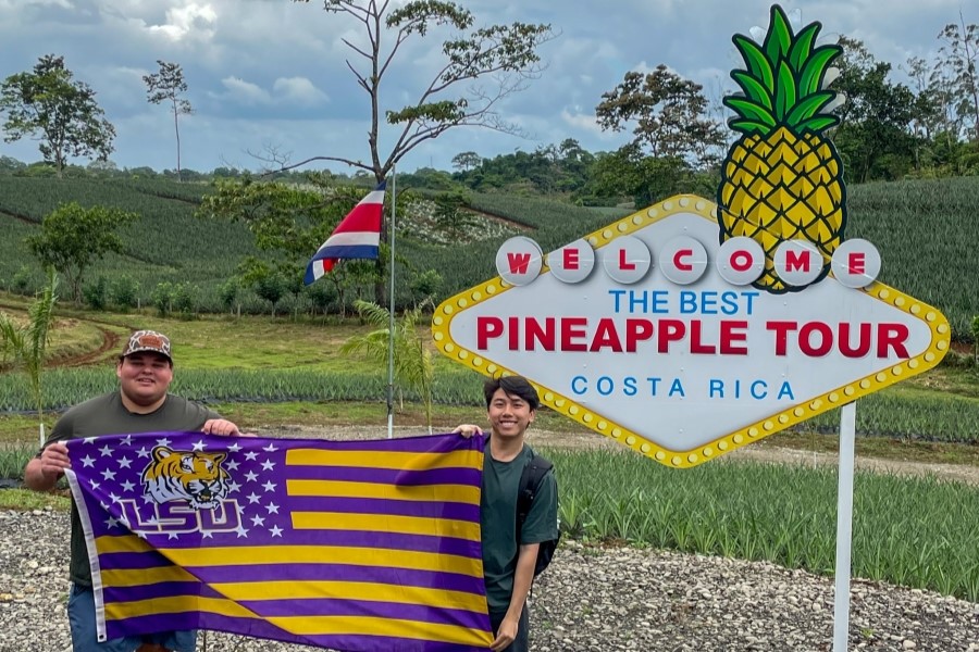 two students hold an LSU flag in front of a Costa Rican pineapple farm