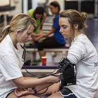 Kinesiology students learn with hands-on techniques.