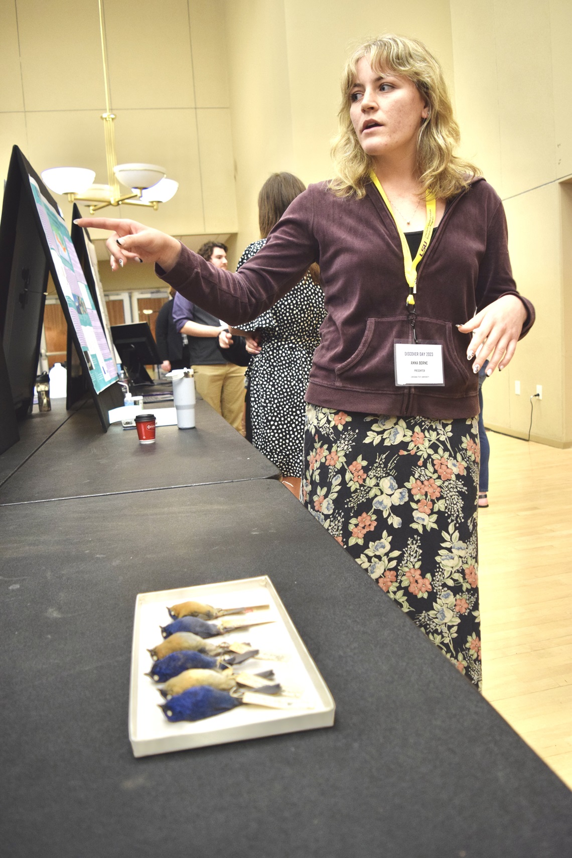 Student presenting a research project with bird specimens