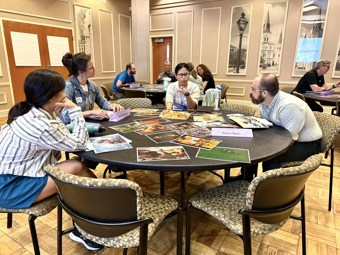 Professionals working together during a workshop