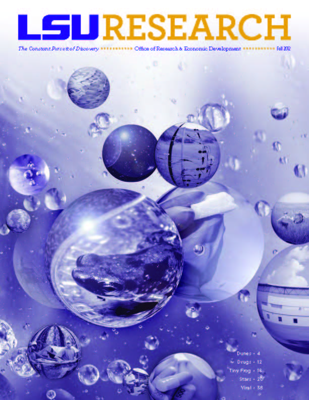 Cover Image of Fall 2012 Magazine: Bubbles with research related photographs inside them