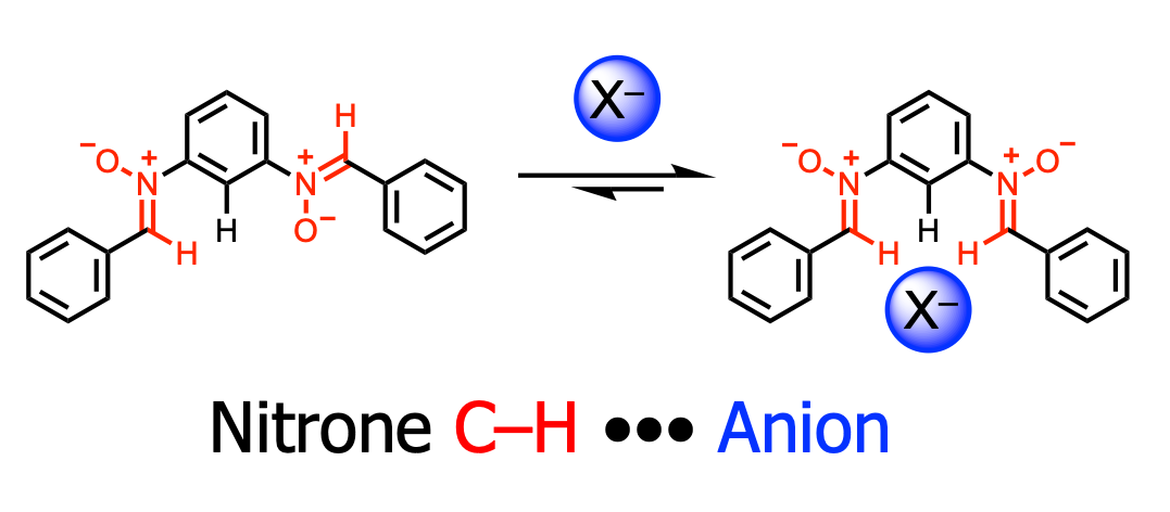 anion receptors with nitron C–H hydrogen bond donorsgraphical abstract 