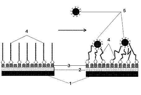 Microfluidic device illustration
