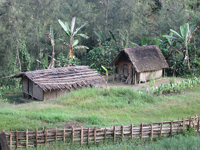 Two hut buildings in Kaironk Village in the highlands of Madang Province, LSU College of Science Pursuit for Kids