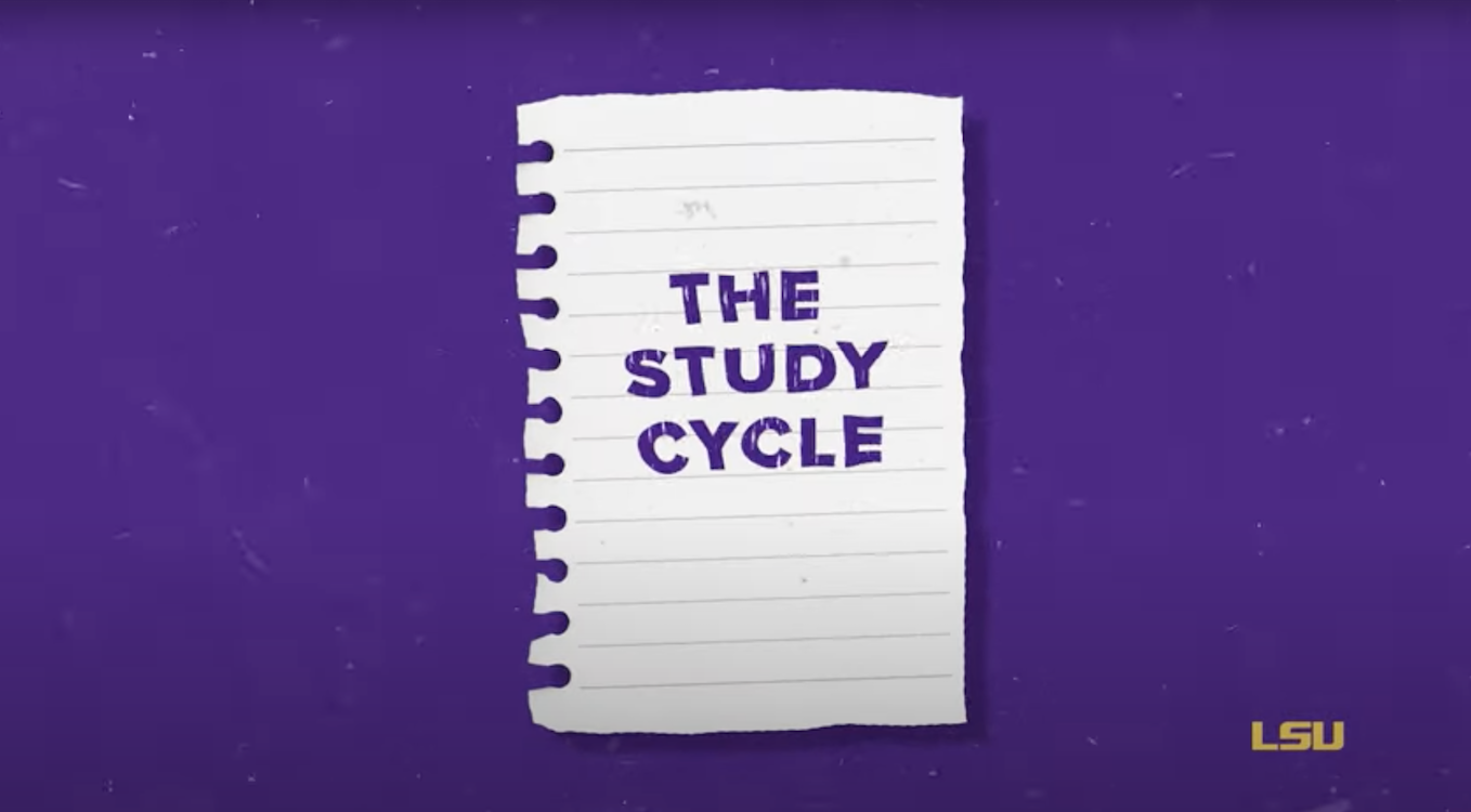 study cycle video