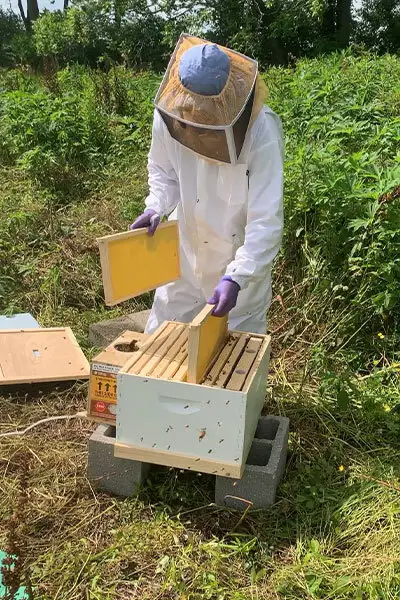 installing hive